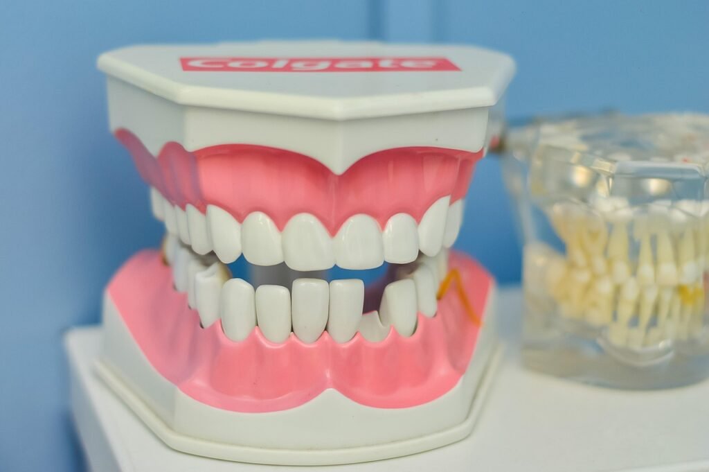 mouth, teeth, macromodel, dentist, teeth, dentist, dentist, dentist, dentist, dentist