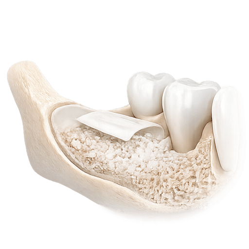 Bone and Tissue Reconstruction